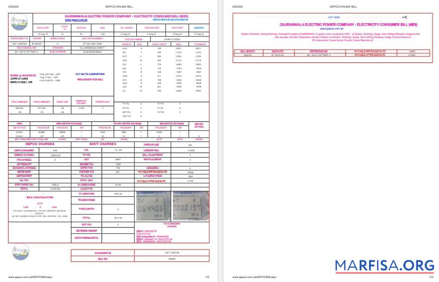 Downloadable Pakistan Gujanwala electric power company electricity utility bil Word and PDF formats, 2 pages example